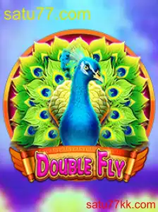 DoubleFly