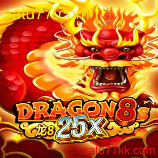 Dragon8s25x